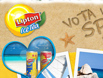 Lipton IceTea Facebook App2013